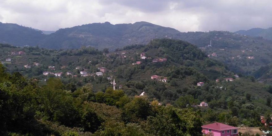 Altınordu Mübarek Köyü Resimleri