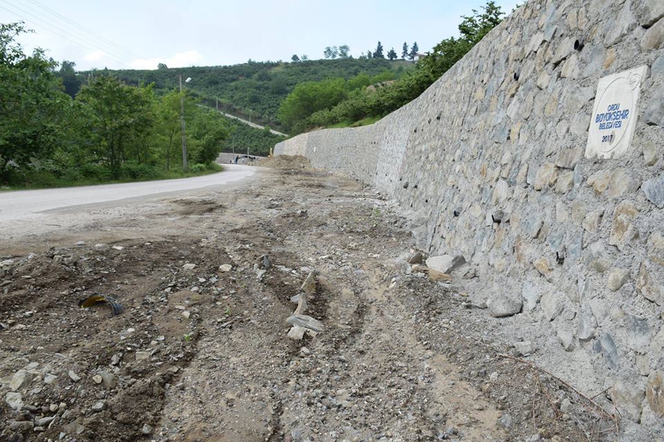 Altınordu Nizamettin Köyü Resimleri 1