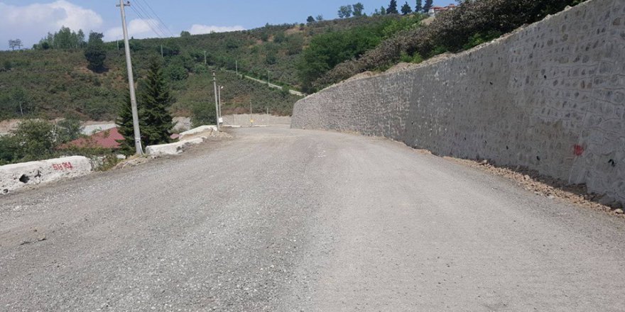 Altınordu Nizamettin Köyü Resimleri