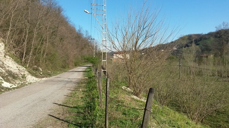 Altınordu Oğmaca Köyü Resimleri 1