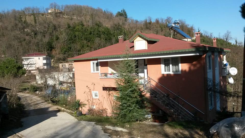 Altınordu Oğmaca Köyü Resimleri 13