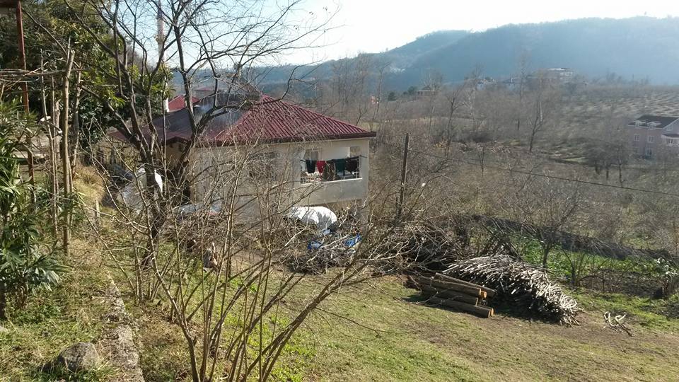 Altınordu Oğmaca Köyü Resimleri 15