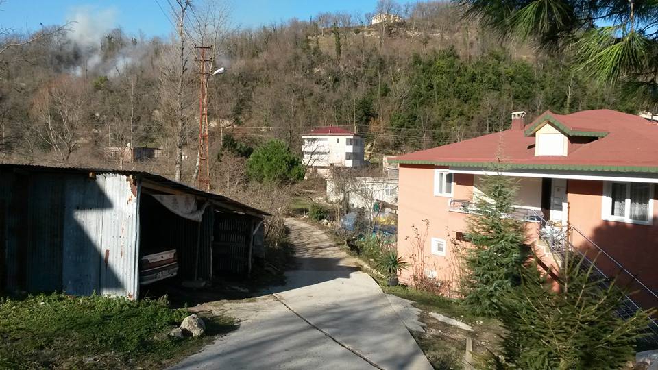 Altınordu Oğmaca Köyü Resimleri 16