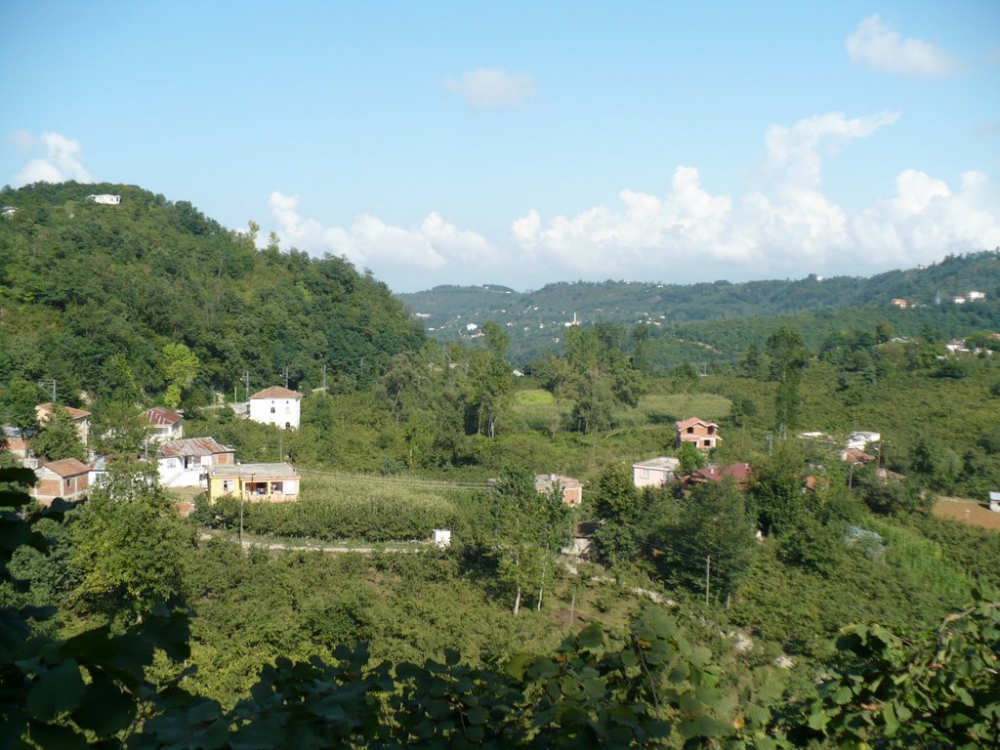 Altınordu Oğmaca Köyü Resimleri 17
