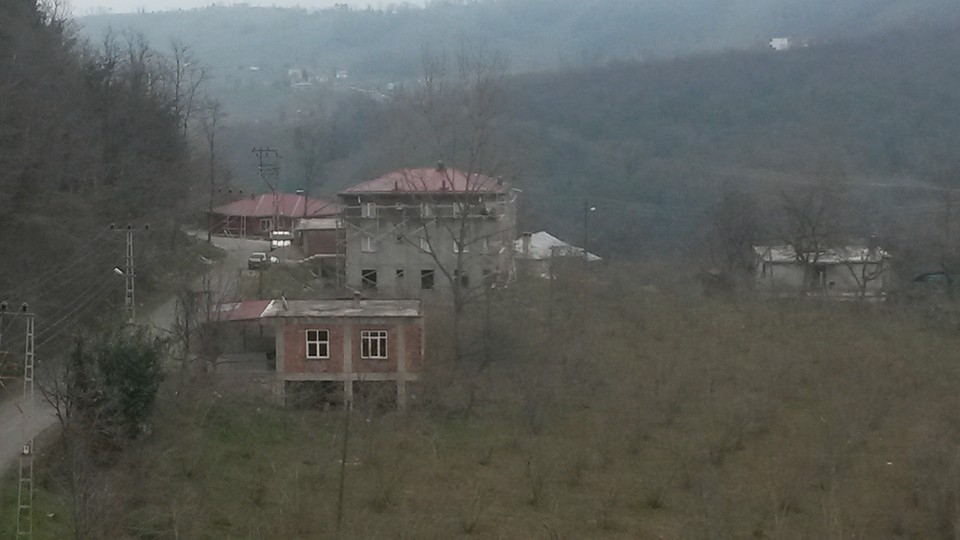 Altınordu Oğmaca Köyü Resimleri 4