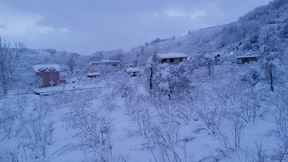 Altınordu Oğmaca Köyü Resimleri 5
