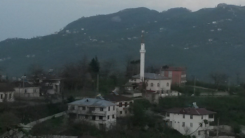 Altınordu Oğmaca Köyü Resimleri 6