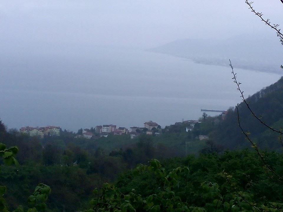 Altınordu Orhaniye Köyü Resimleri 1