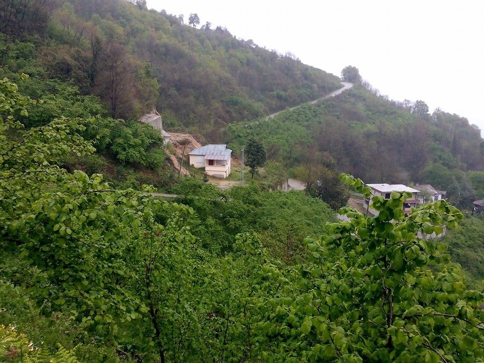 Altınordu Orhaniye Köyü Resimleri 2