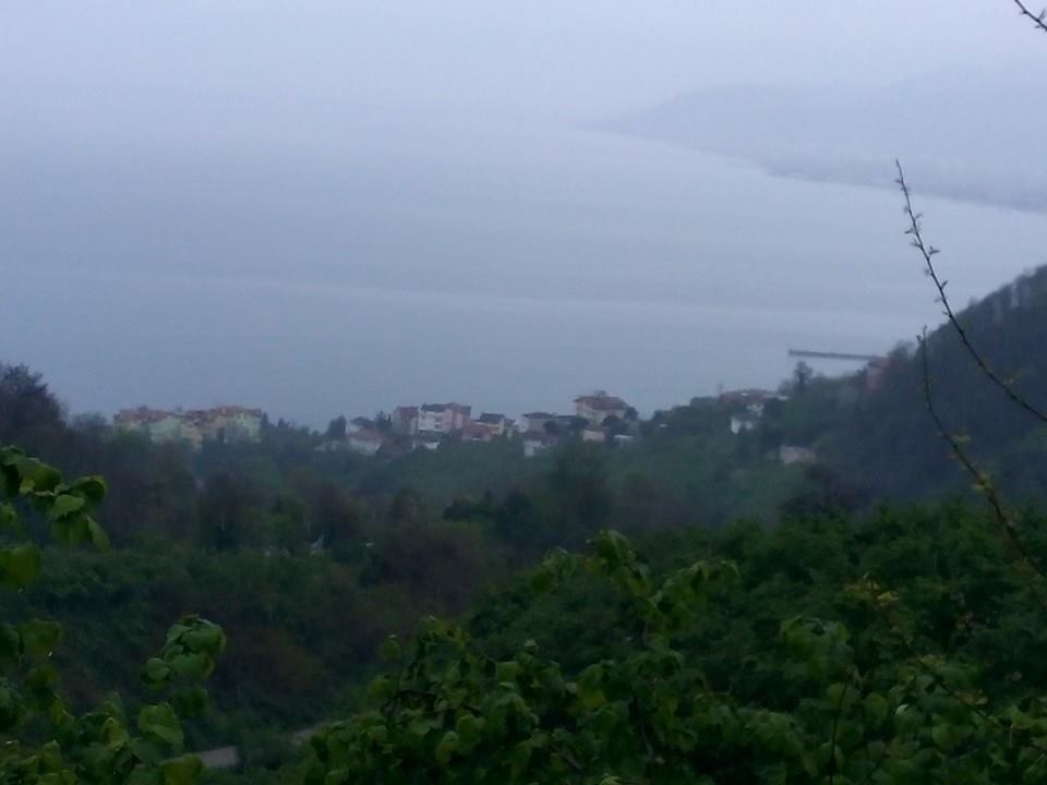 Altınordu Orhaniye Köyü Resimleri 3