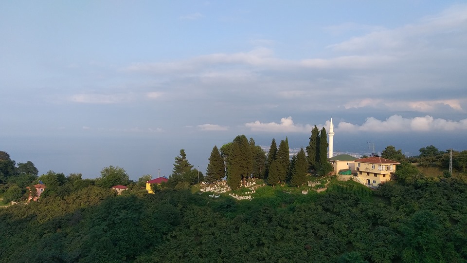 Altınordu Orhaniye Köyü Resimleri 5