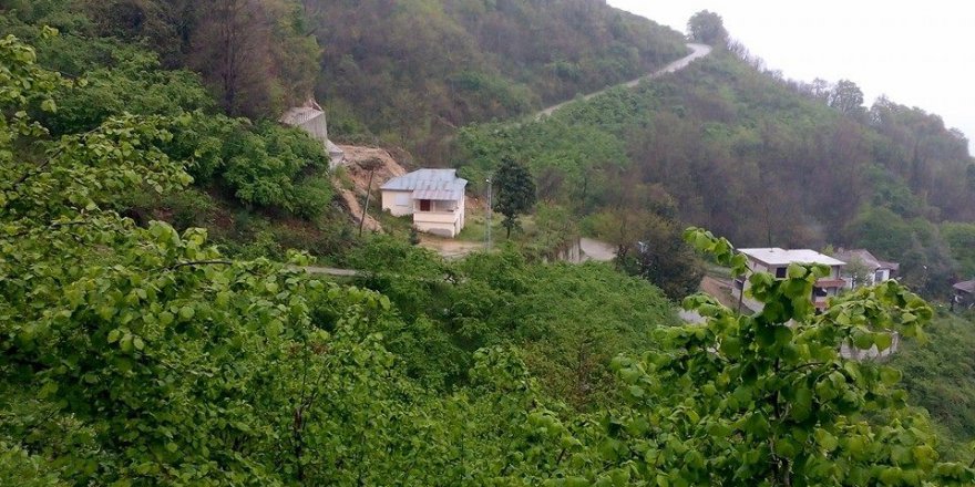 Altınordu Orhaniye Köyü Resimleri