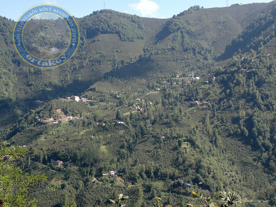 Altınordu Ortaköy Köyü Resimleri 1