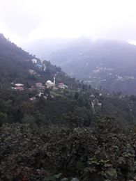 Altınordu Ortaköy Köyü Resimleri 11