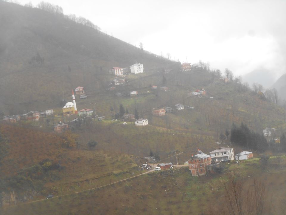 Altınordu Ortaköy Köyü Resimleri 2