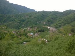 Altınordu Ortaköy Köyü Resimleri 5