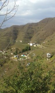 Altınordu Ortaköy Köyü Resimleri 6