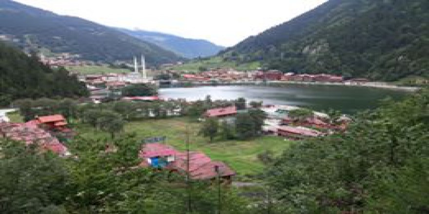 Altınordu Ortaköy Köyü Resimleri