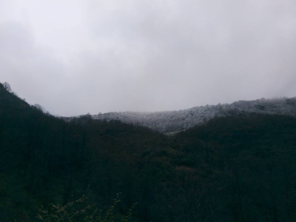 Altınordu Osmaniye Köyü Resimleri 1