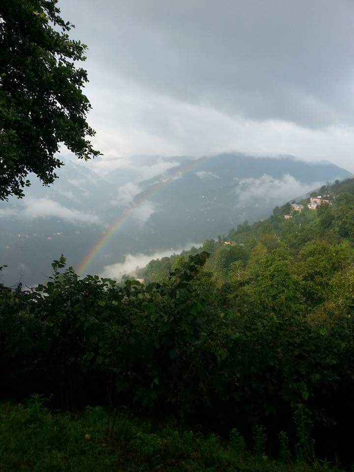 Altınordu Osmaniye Köyü Resimleri 2