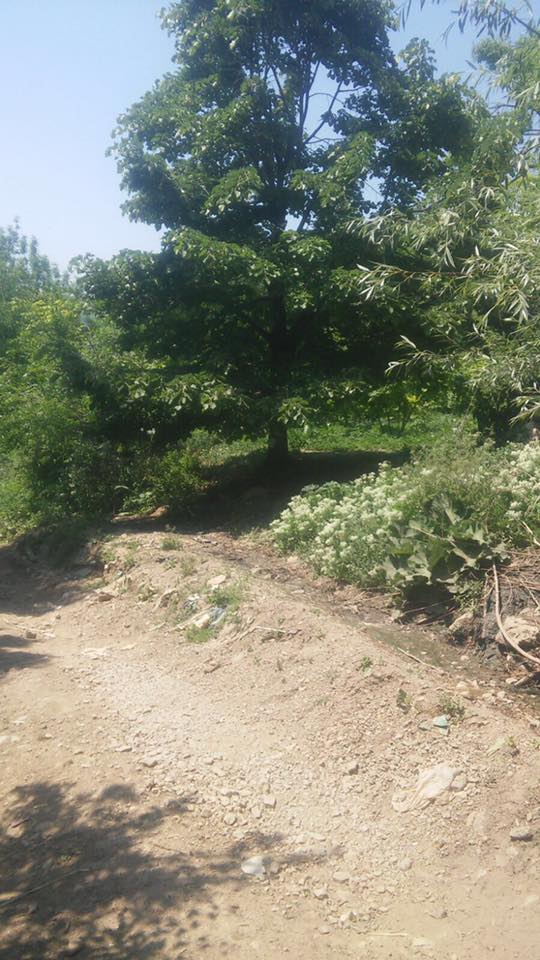Geyve  Yaylak Köyü Resimleri 5