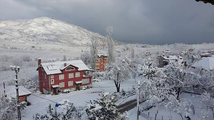 Altınordu Öceli Köyü Resimleri 1