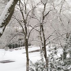 Altınordu Öceli Köyü Resimleri 2