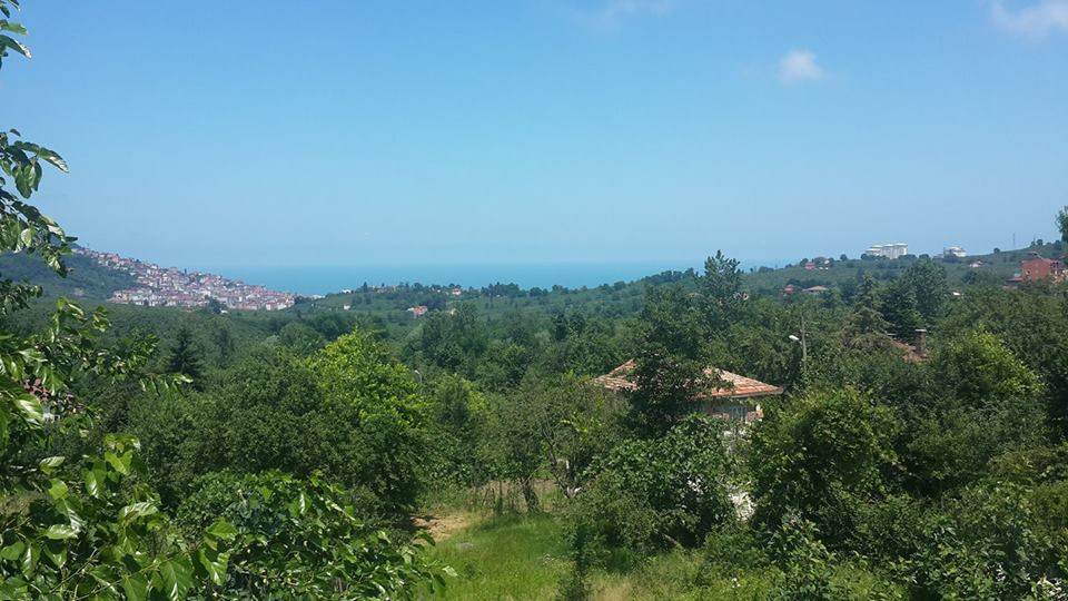 Altınordu Öceli Köyü Resimleri 3