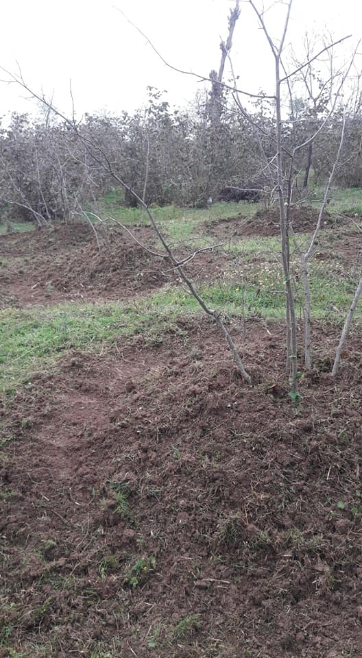 Altınordu Öceli Köyü Resimleri 4