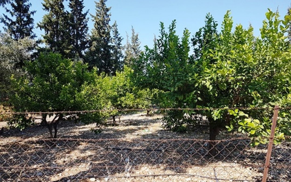 Fethiye Cumhuriyet Köyü Resimleri 4