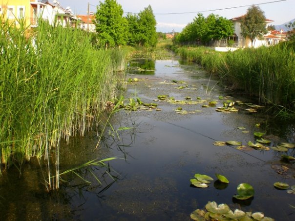 Fethiye Çiftlik Köyü Resimleri 10