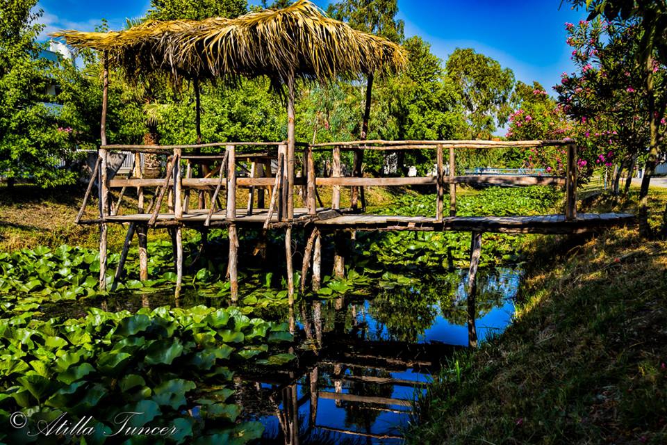 Fethiye Çiftlik Köyü Resimleri 13