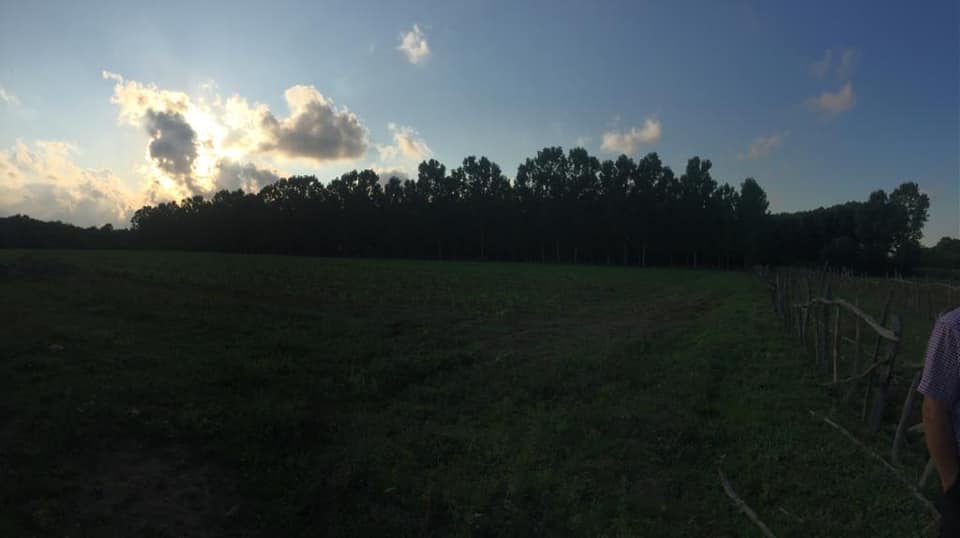 Çarşamba Taşdemir Köyü Resimleri 1