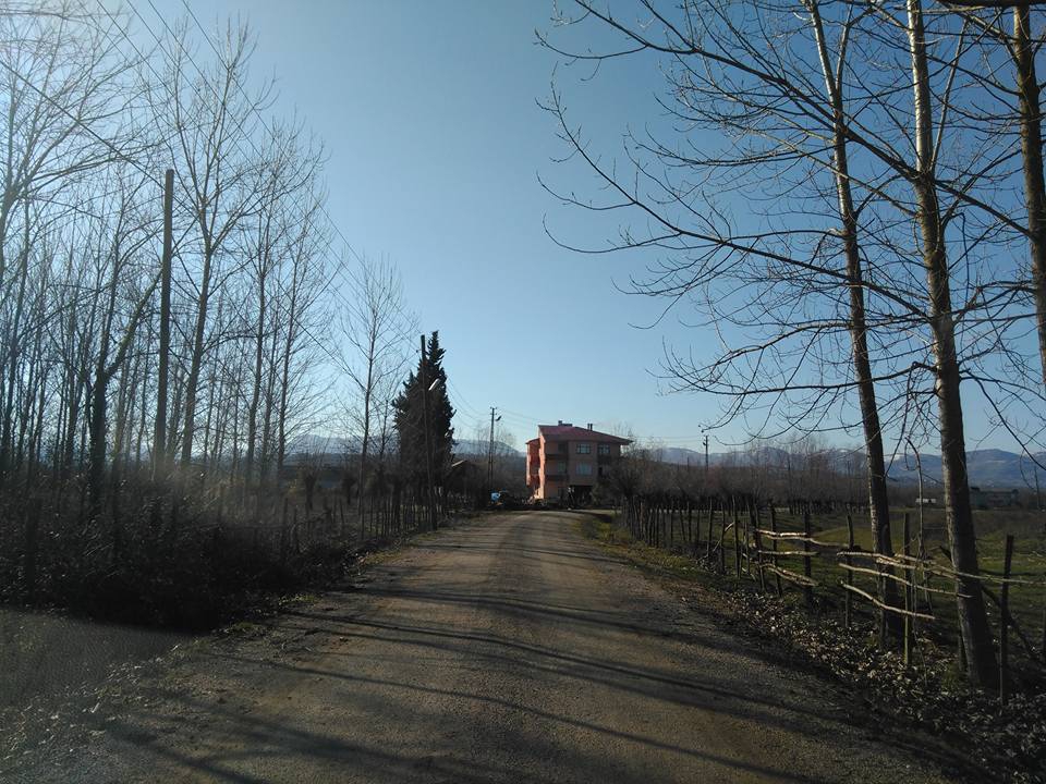 Çarşamba Taşdemir Köyü Resimleri 11