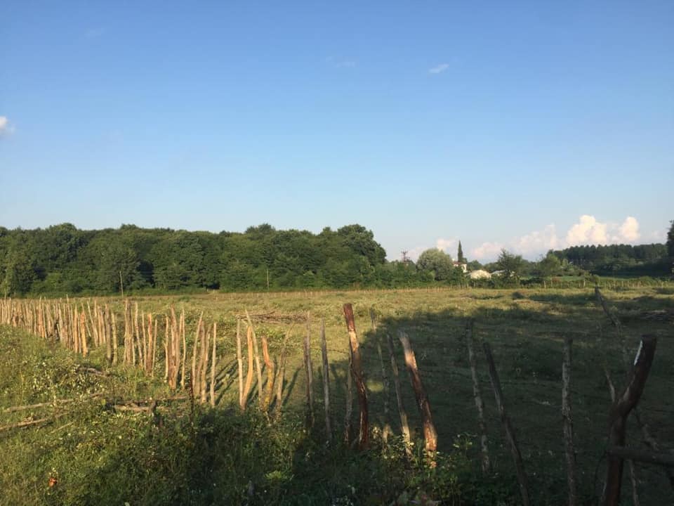 Çarşamba Taşdemir Köyü Resimleri 2