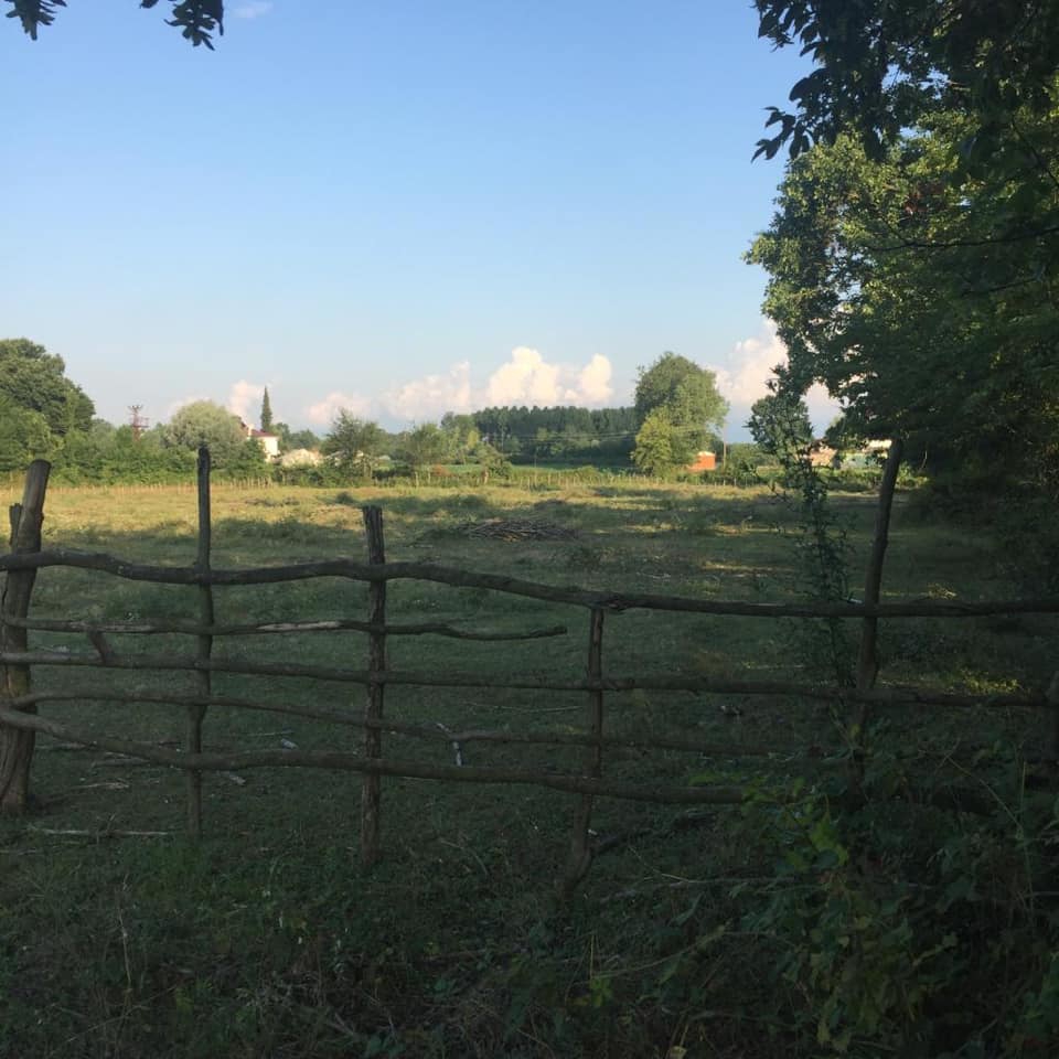 Çarşamba Taşdemir Köyü Resimleri 3