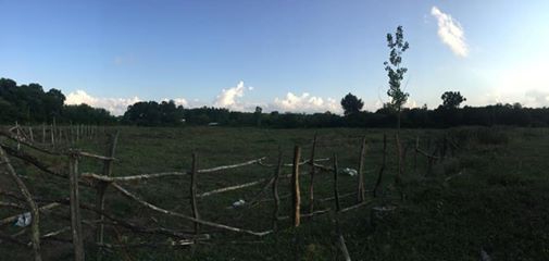 Çarşamba Taşdemir Köyü Resimleri 7