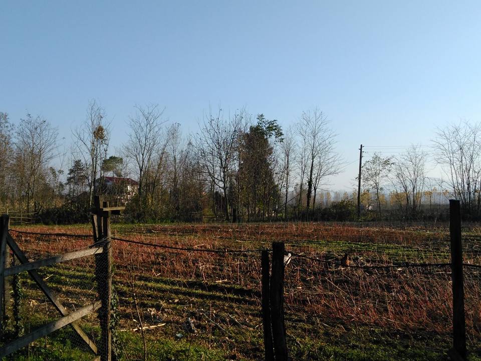 Çarşamba Taşdemir Köyü Resimleri 8