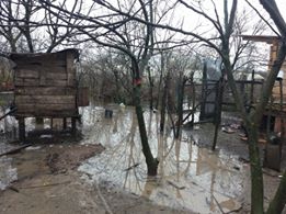 Çarşamba Tatarlı Köyü Resimleri 6