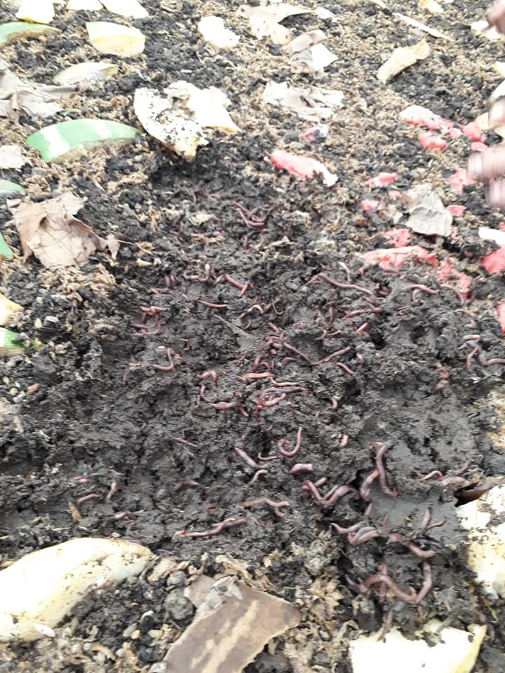 Çarşamba Tilkili Köyü Resimleri 2