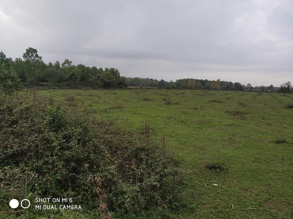 Çarşamba Tilkili Köyü Resimleri 3