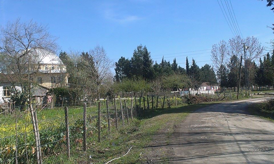 Çarşamba Turgutlu Köyü Resimleri 8