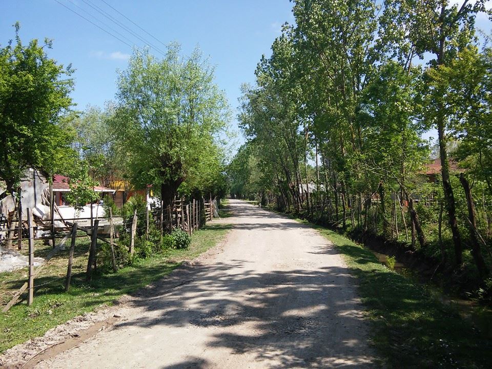 Çarşamba Turgutlu Köyü Resimleri 9