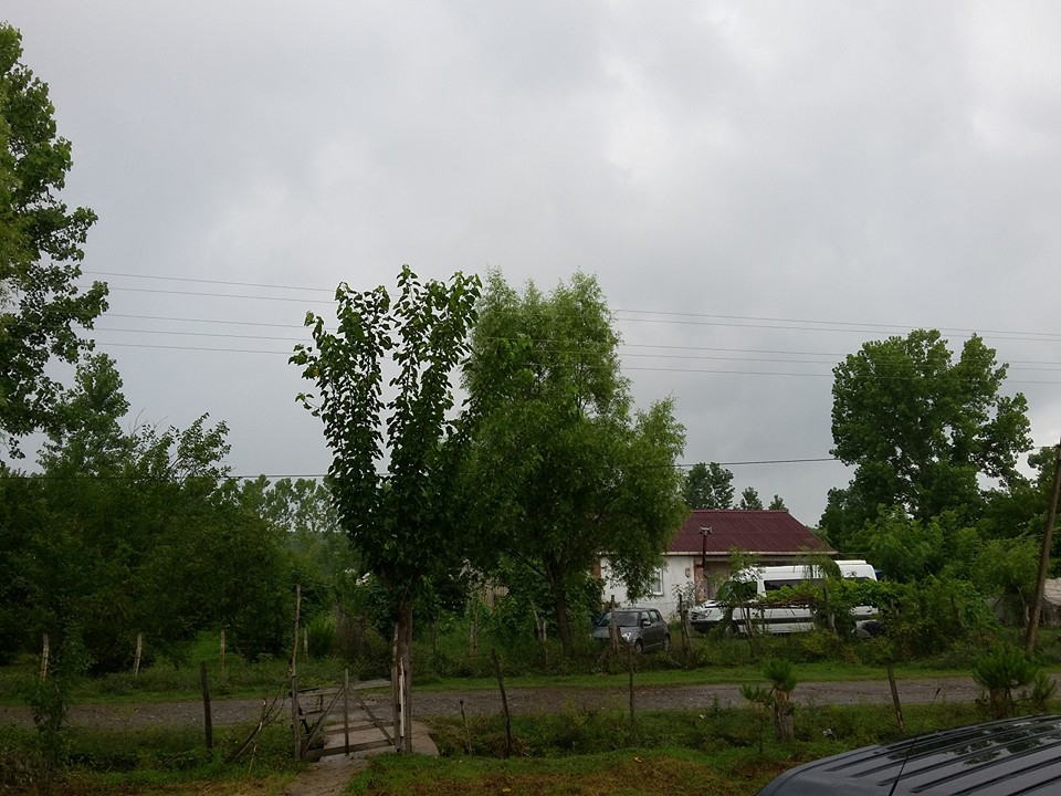 Çarşamba Ulupınar Köyü Resimleri 1