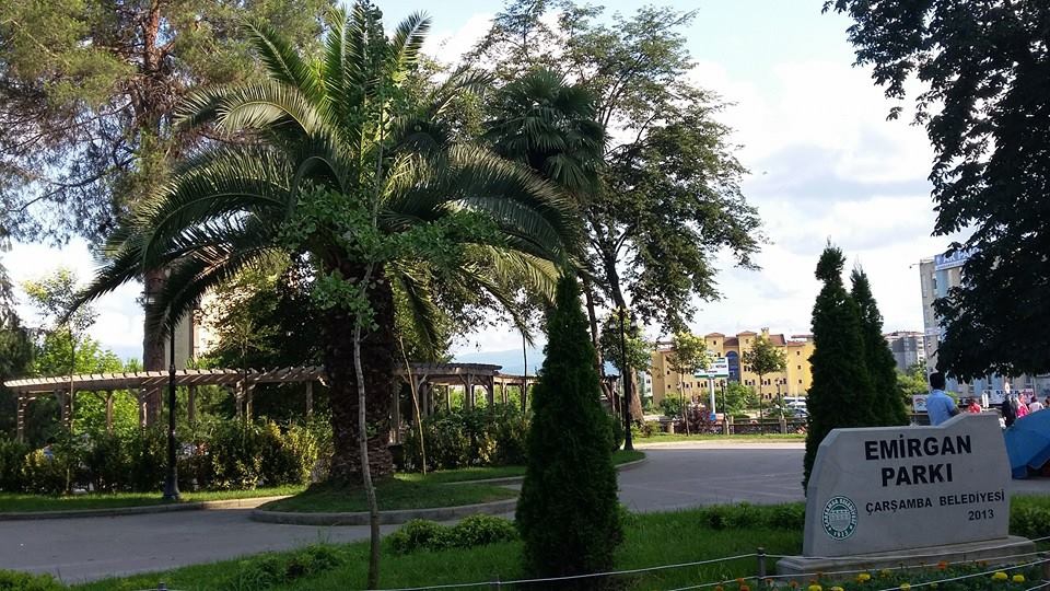 Çarşamba Ulupınar Köyü Resimleri 4