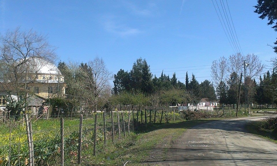 Çarşamba Ulupınar Köyü Resimleri 6