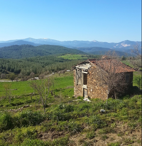 Kavaklıdere Cumhuriyet Köyü Resimleri 1