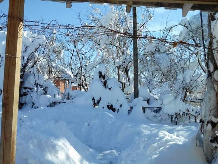 Çarşamba Uzunlu Köyü Resimleri 1