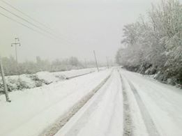 Çarşamba Uzunlu Köyü Resimleri 2