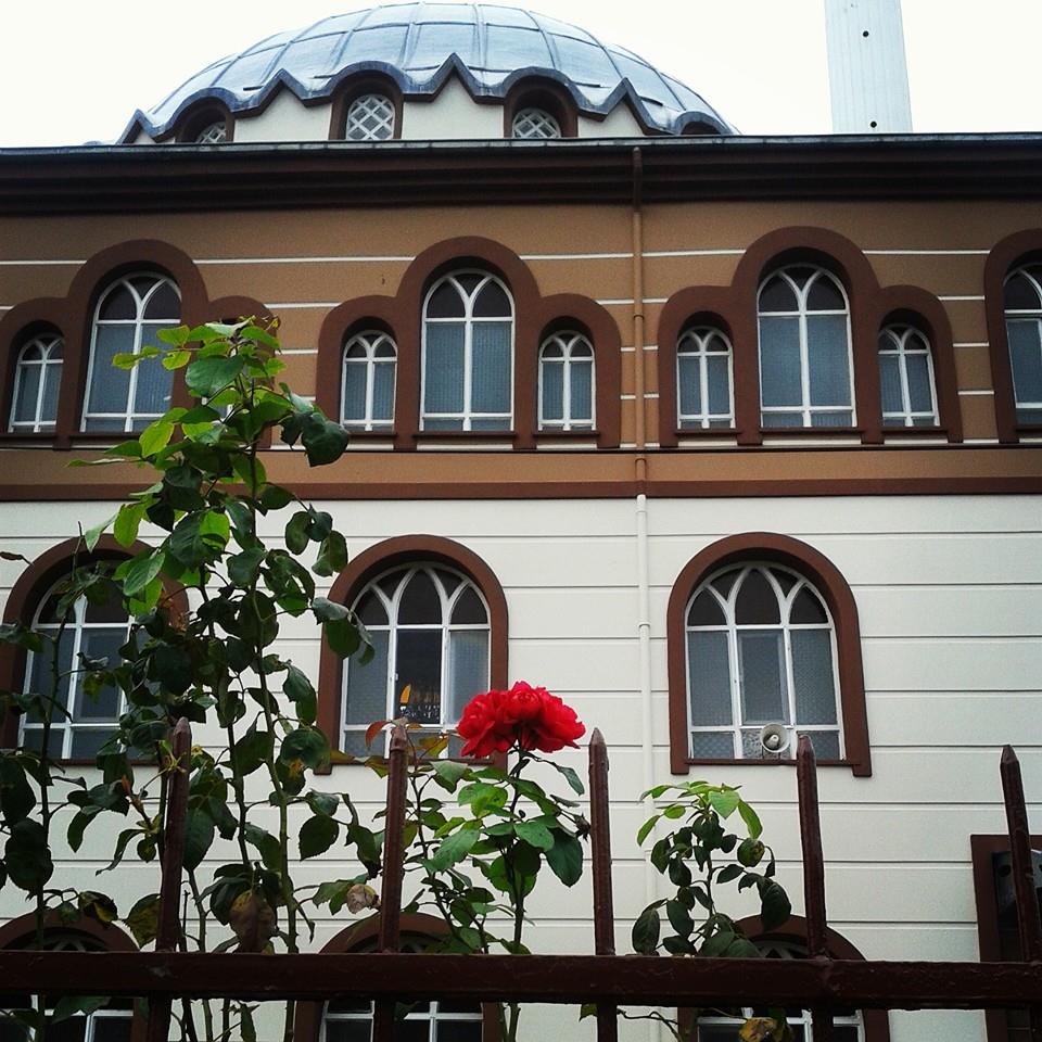 Çarşamba Uzunlu Köyü Resimleri 4